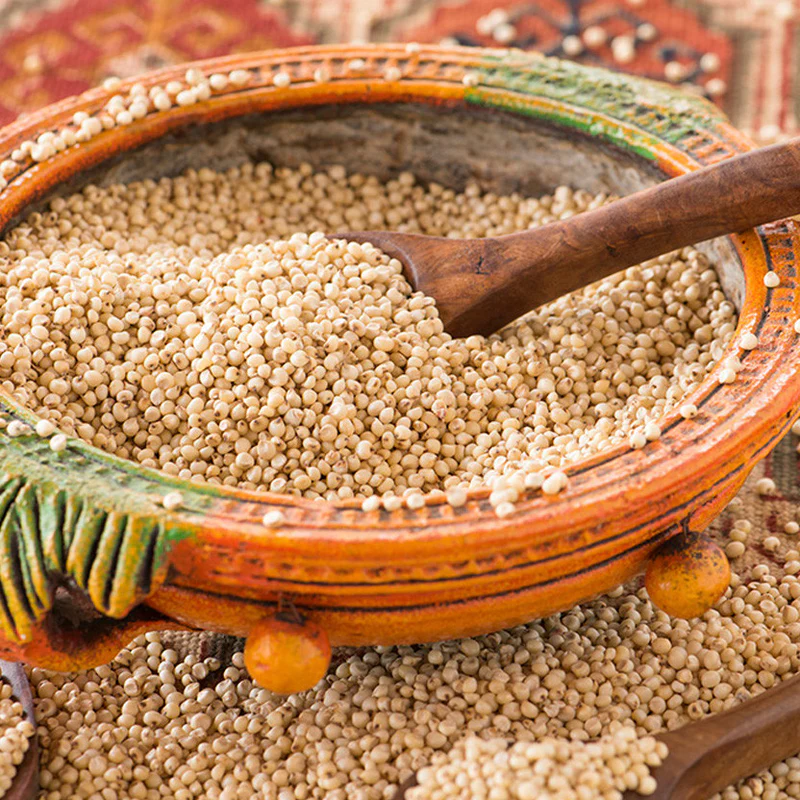 Sorghum (Sorghum bicolor)