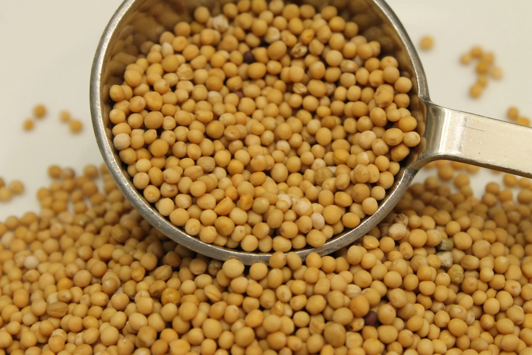 Yellow Mustard Seeds