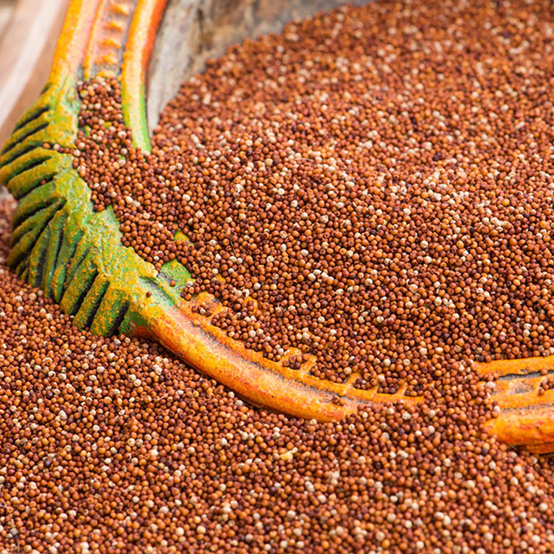 Finger Millet (Ragi)