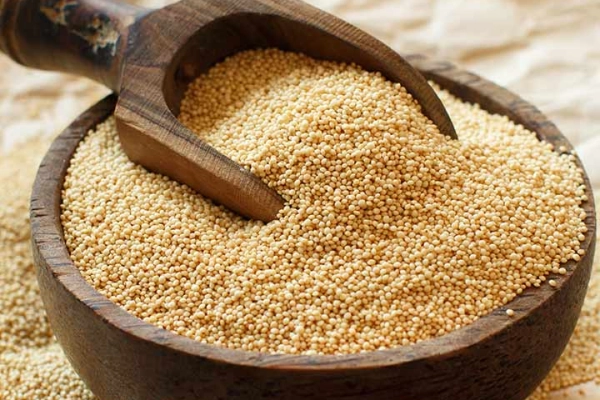 Amarnath millet (ragjira)