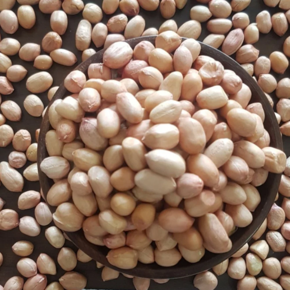 Java Ground Nut Kernel